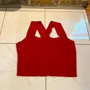 Red Knot Crop Top